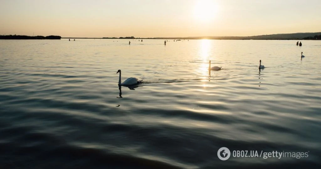 Озеро Веленце в Угорщині стрімко міліє: воду «з’їли» посуха і старі помилки